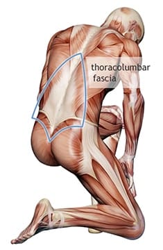 Myofascial release therapy works on the fascial system to relieve pain.